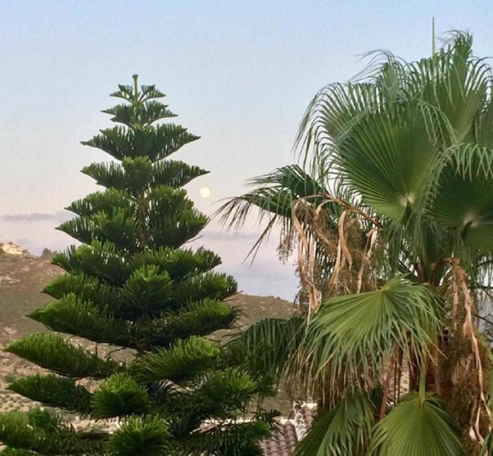 One Bed Apartment Overlooking Jalon Valley, Costa Blanca Alcalalí Exterior foto